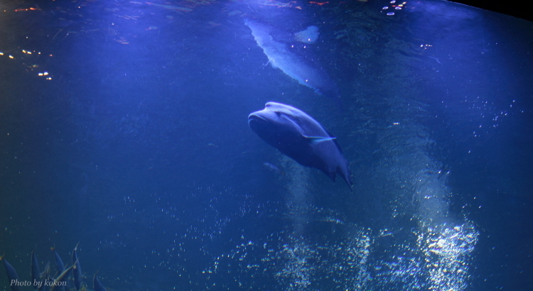 c0200027_22283512.jpg