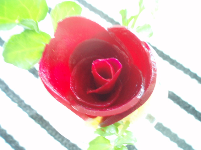 e0177330_6204339.jpg