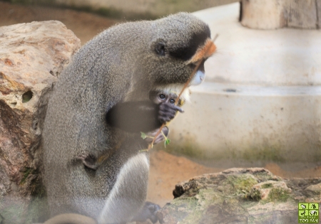 2月1日の動物たち_a0230833_1640243.jpg