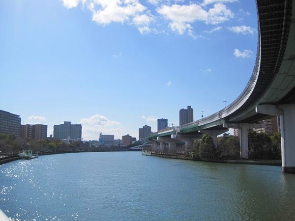 b0180433_1742869.jpg