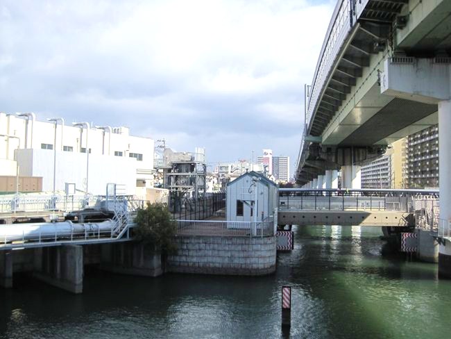 b0180433_1753988.jpg
