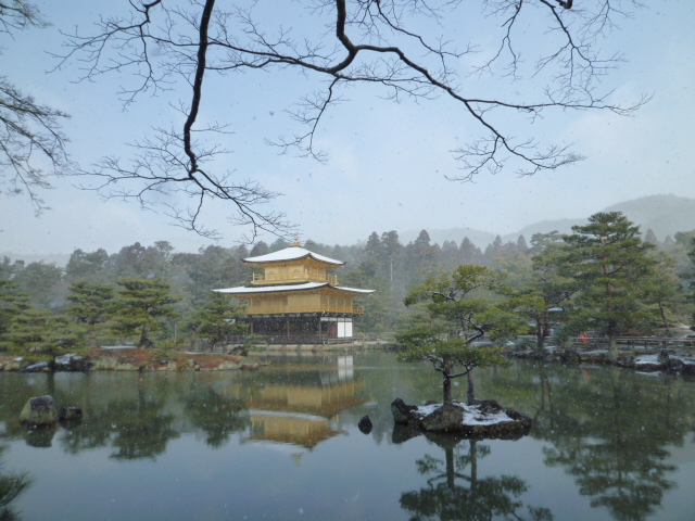 京都グルメタクシー　今日の雪景色_d0106134_23174994.jpg