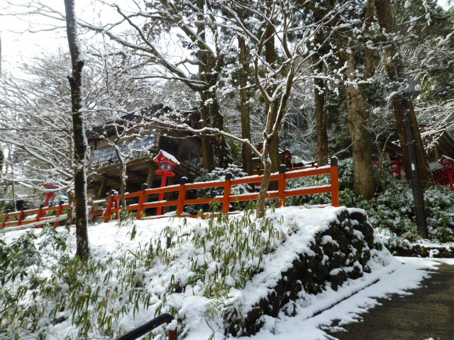 京都グルメタクシー　今日の雪景色_d0106134_23195540.jpg