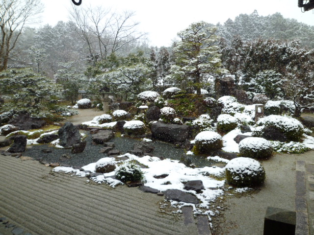 京都グルメタクシー　今日の雪景色_d0106134_2319724.jpg