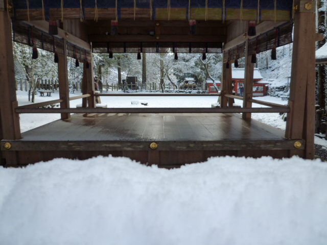 京都グルメタクシー　今日の雪景色_d0106134_23204416.jpg
