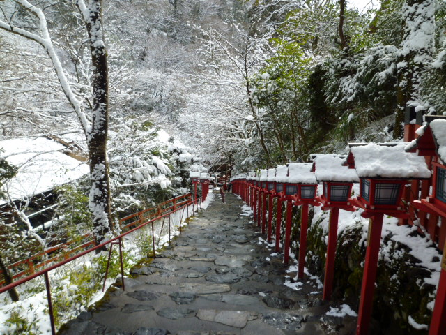 京都グルメタクシー　今日の雪景色_d0106134_2320815.jpg