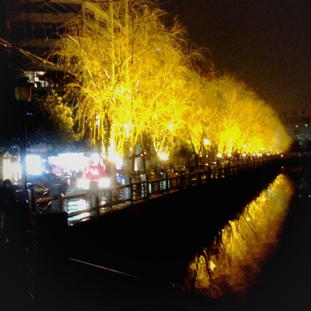 c0069036_1346641.jpg