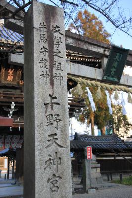 d0055236_1501410.jpg