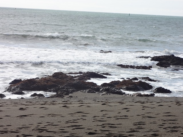 a0290938_553446.jpg