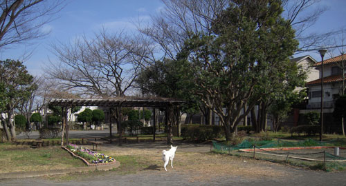 Vol.525 富岡第五公園_a0117039_0385134.jpg