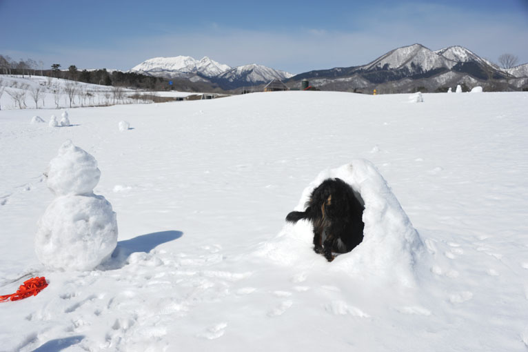 蒜山休暇村で雪だるまと遊ぼう♪_b0075541_823625.jpg