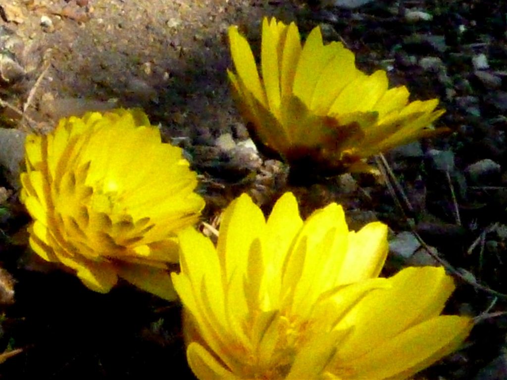 b0220251_15541159.jpg