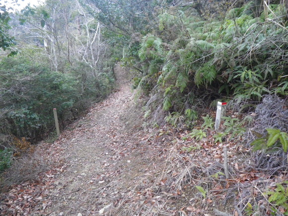 b0228959_00841.jpg
