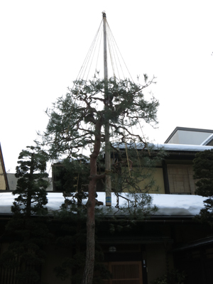 c0117570_9405577.jpg