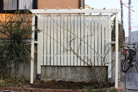 e0272870_20144896.jpg