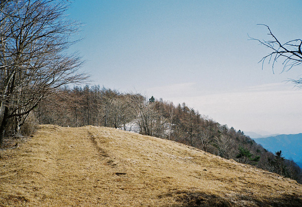 a0207672_12164216.jpg