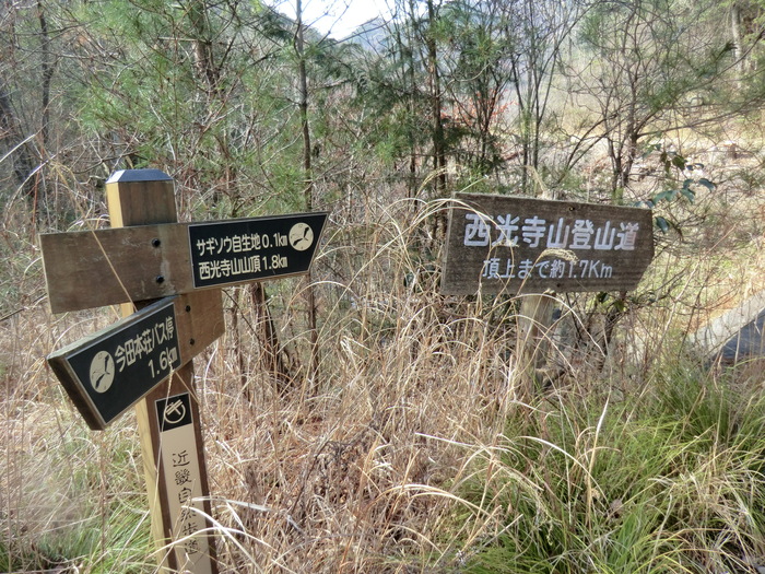 b0185573_83324.jpg