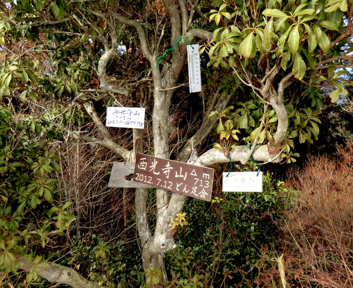 b0185573_93894.jpg