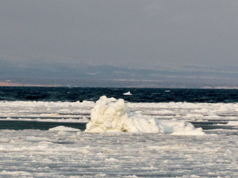 知床流氷クルーズ・野付半島・走古丹　撮影バスツアー３の2 　０２１３_c0183777_17254988.jpg