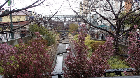e0024081_83933.jpg