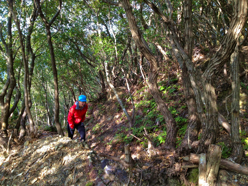 2013/02/13-14 姫越山〜座佐の高トレイルランニング_b0220886_10232625.jpg