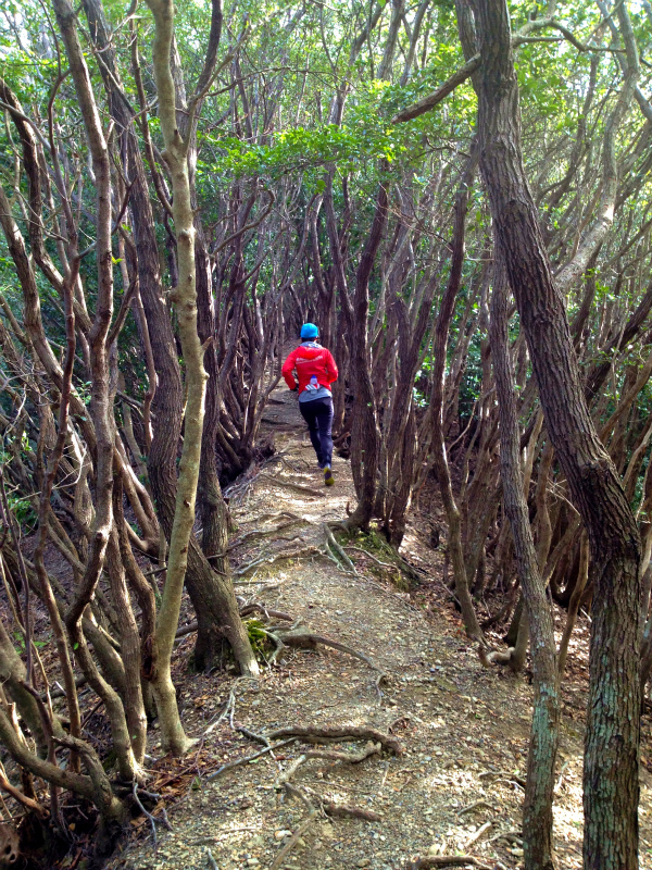 2013/02/13-14 姫越山〜座佐の高トレイルランニング_b0220886_1025408.jpg