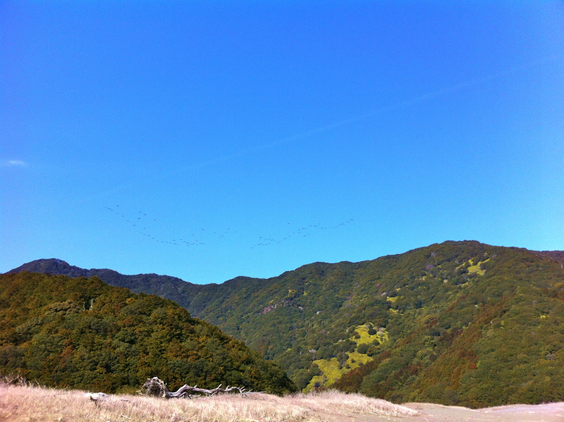 2013/02/13-14 姫越山〜座佐の高トレイルランニング_b0220886_10451041.jpg