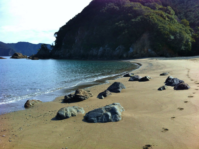 2013/02/13-14 姫越山〜座佐の高トレイルランニング_b0220886_10452255.jpg