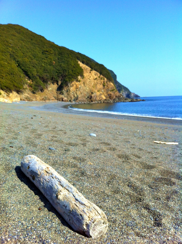 2013/02/13-14 姫越山〜座佐の高トレイルランニング_b0220886_11112076.jpg