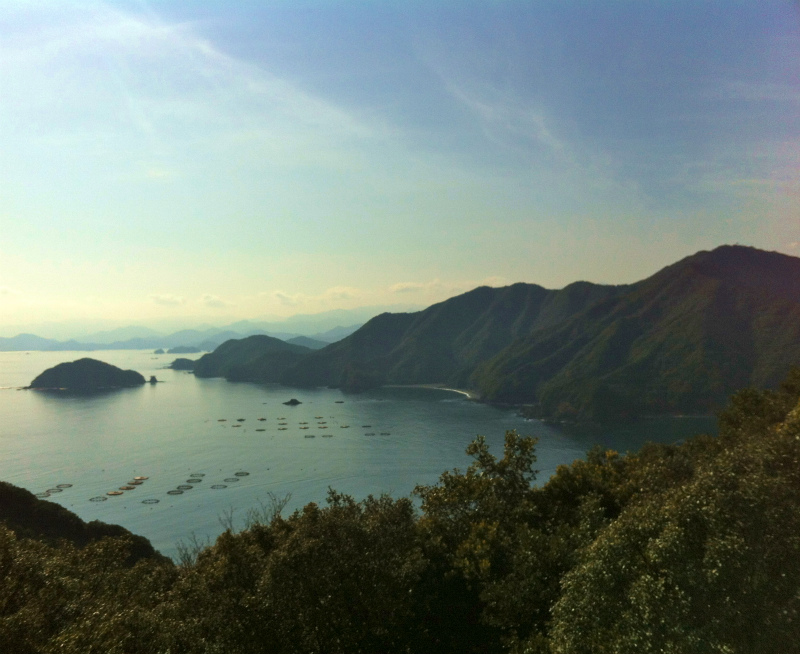 2013/02/13-14 姫越山〜座佐の高トレイルランニング_b0220886_11133877.jpg