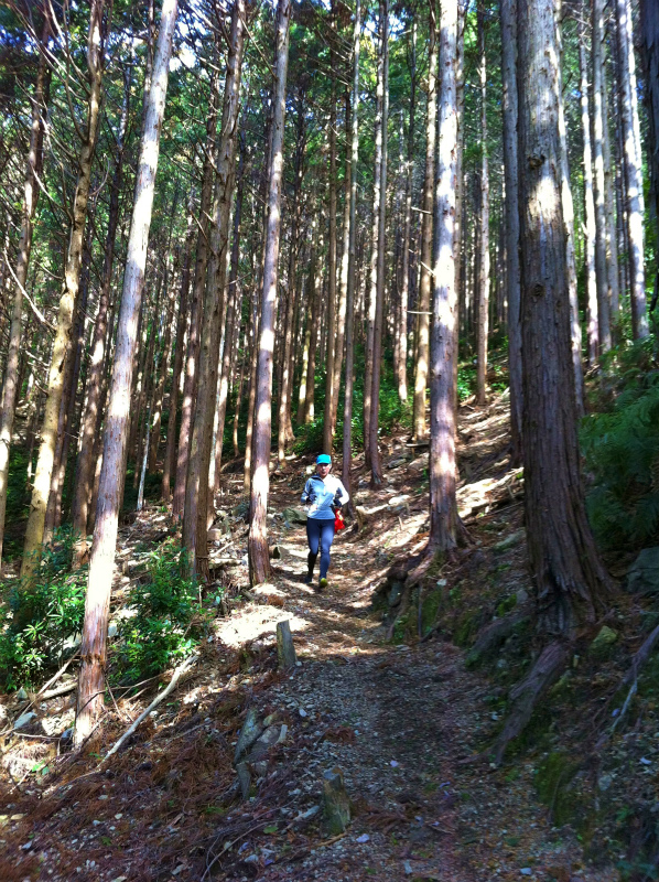 2013/02/13-14 姫越山〜座佐の高トレイルランニング_b0220886_1124998.jpg