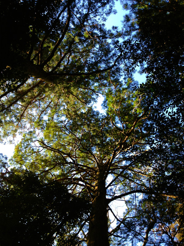 2013/13-14 お伊勢参り〜三瀬坂峠_b0220886_9472589.jpg