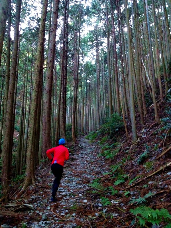 2013/13-14 お伊勢参り〜三瀬坂峠_b0220886_9524151.jpg