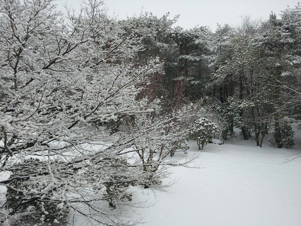 c0186691_1320045.jpg