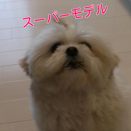 b0237894_19312137.png