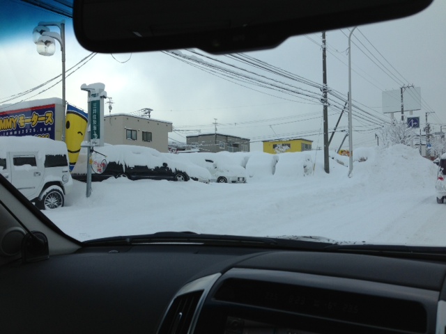 大雪ですねヽ( ̄д ̄;)ノ=3=3=3トミーにはいれません_b0127002_8354987.jpg