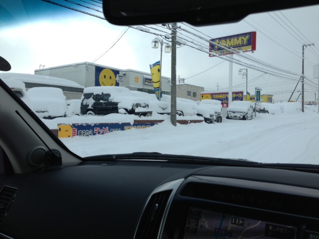大雪ですねヽ( ̄д ̄;)ノ=3=3=3トミーにはいれません_b0127002_8354998.jpg