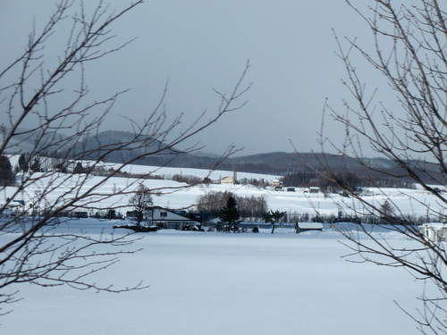 c0036203_2044264.jpg