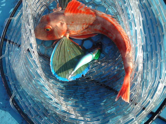 d0224204_1721159.jpg
