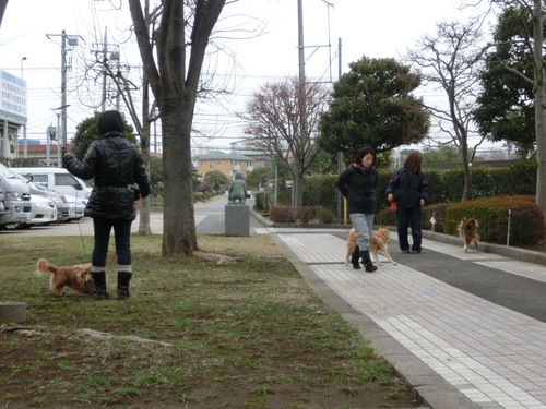 ２月１５日お散歩報告♪_a0285205_20173382.jpg