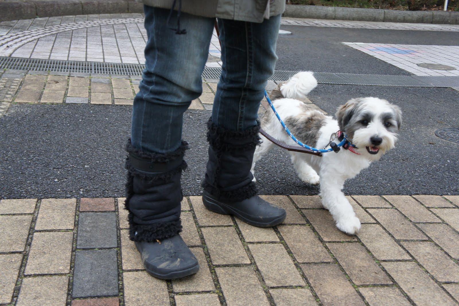 ２月１５日お散歩報告♪_a0285205_2024365.jpg