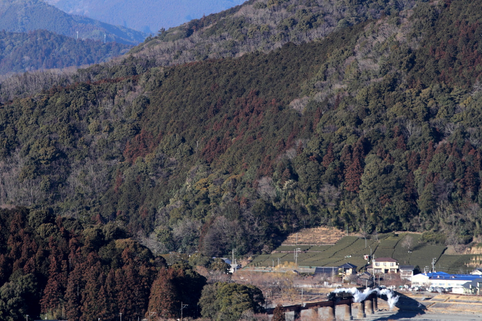 風に吹き千切られる白煙 - 2013年冬・大井川 - _b0190710_21265575.jpg