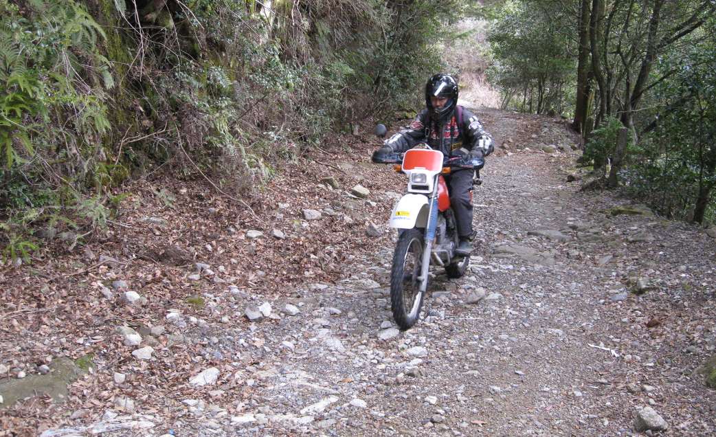 e0003910_23271224.jpg