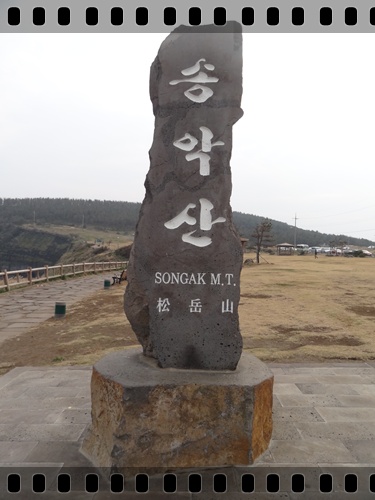 a0115924_239380.jpg
