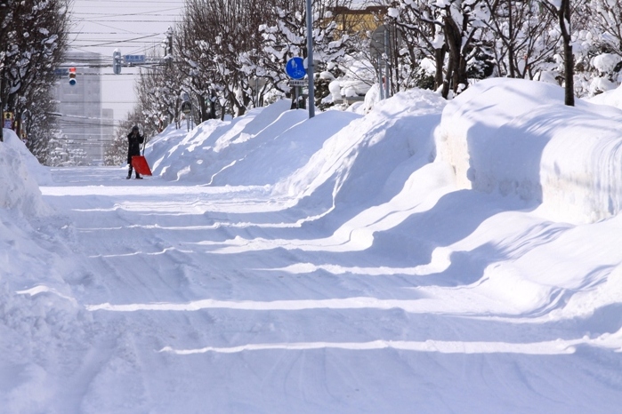 大雪の朝　13・2・17_a0114629_15425638.jpg