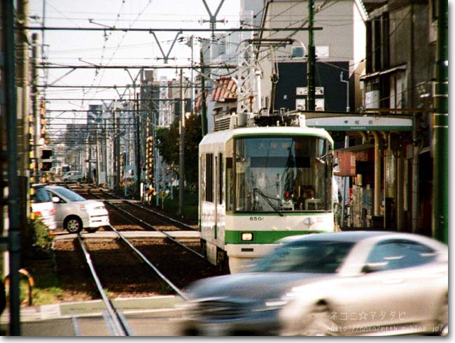 【と】独特な光景：どくとくな光景_c0221529_962164.jpg