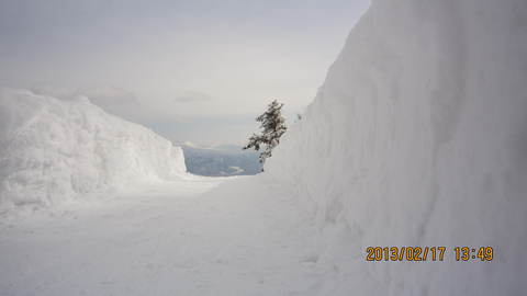 e0230329_21103446.jpg