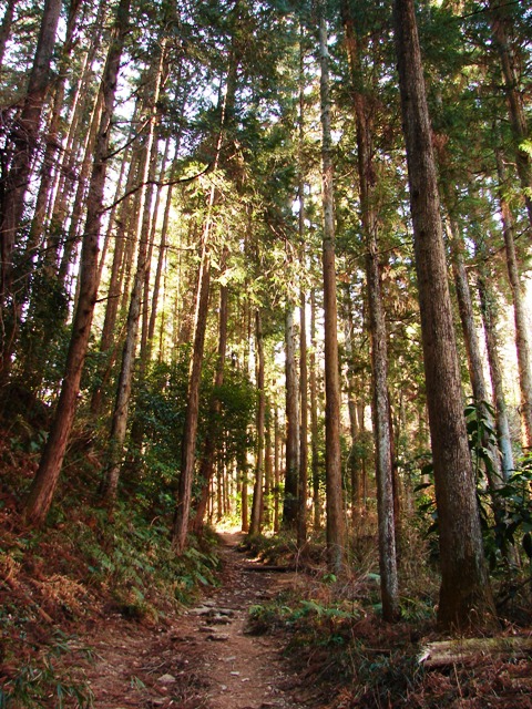 e0254331_97191.jpg