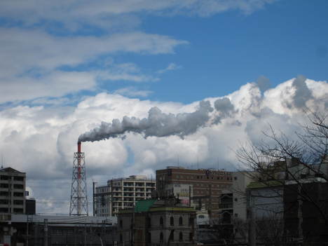 a0233432_20533519.jpg