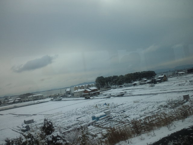 c0236632_231489.jpg